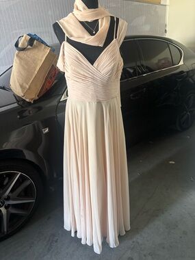 Elegant Women's Blush Pink Chiffon Evening Dress